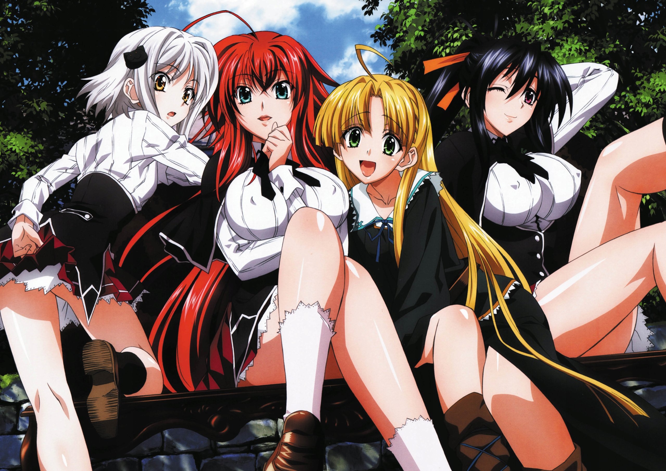 Plakat A3 High School DxD Anime Manga Asia Rias Koneko