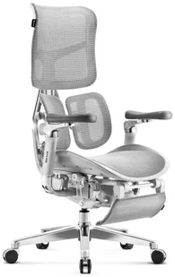 Fotel biurowy, krzesło biurowe Diablo Brave V-Kinetic Szary - Fotele i krzesła biurowe Fotel biurowy, krzesło biurowe Diablo Brave V-Kinetic Szary - Fotele i krzesła biurowe - miniaturka - grafika 1
