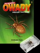 Czasopisma - Prawdziwe Owady Pajęczaki i Inne Robaki Reedycja - miniaturka - grafika 1