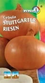 Nasiona i cebule - Cebula Stuttgarter Riesen 5g / L / - miniaturka - grafika 1