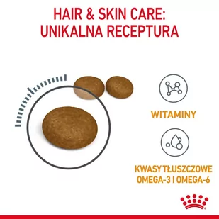 ROYAL CANIN Hair&Skin Care 10kg karma sucha dla kotów dorosłych, lśniąca sierść i zdrowa skóra + saszetka Intense Beauty (galaretka) 12x85g - Sucha karma dla kotów - miniaturka - grafika 4