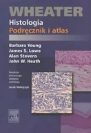 Podręczniki dla szkół wyższych - Urban & Partner Wheater Histologia Podręcznik i atlas - Barbara Young, Lowe James S., Alan Stevens, Heath John W. - miniaturka - grafika 1