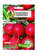 Nasiona i cebule - Rzodkiewka Karminowa taśma 6 m PNOS Ożarów - miniaturka - grafika 1