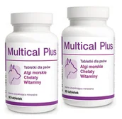 Suplementy i witaminy dla psów - Dolvit Multical Plus 2x90 tabletek - miniaturka - grafika 1