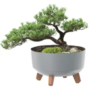 Donice - Donica okrągła matowa misa szara 23,5 cm wysokość 15,5 cm o pojemności 3,8 L na nóżkach z wkładką - miniaturka - grafika 1