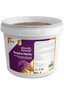 Akcesoria jeździeckie - DOLFOS  Horsemix  Respiro Herbs 4kg - miniaturka - grafika 1