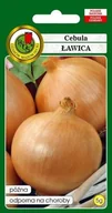 Nasiona i cebule - Cebula Ławica 5 g PNOS - miniaturka - grafika 1
