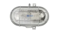 Lampy pozostałe - Lena Lighting Lampa oval 100w e27 popielaty klosz przezroczysty I100178 - miniaturka - grafika 1