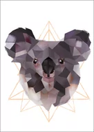 Plakaty - koala białe tło - plakat Wymiar do wyboru: 21x29,7 cm - miniaturka - grafika 1