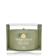 Świece - Yankee Candle Sage & Citrus Signature Single Filled Votive Świeca zapachowa 37 g - miniaturka - grafika 1