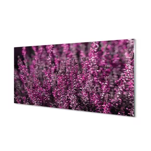 Ochronny panel do kuchni + klejPole wrzosy 120x60 - Dekoracje domu - miniaturka - grafika 1