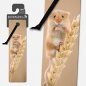 Zakładki do książek - Zakładka 3D 15407 - Mysz - IF - miniaturka - grafika 1