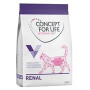 Sucha karma dla kotów - Concept for Life Veterinary Diet Renal - 350 g - miniaturka - grafika 1