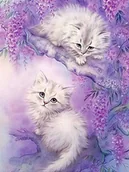 Dekoratorstwo - Haft Diamentowy Białe Kotki Dwa 35x45 cm - miniaturka - grafika 1