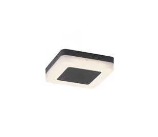 Paul Neuhaus 9491-13 - LED Lampa zewnętrzna FABIAN LED/12,6W/230V IP54 - Lampy ogrodowe - miniaturka - grafika 2