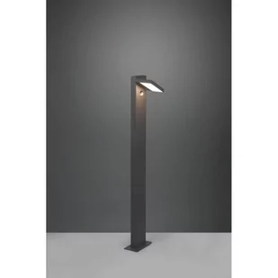 Trio HORTON LED Antracyt wys. 1m. 8W 3000K Czujnik ruchu i zmierzchu Lampa stojąca zewnętrzna regulowana 426369142 426369142 - Lampy ogrodowe - miniaturka - grafika 1