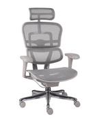 Fotele i krzesła biurowe - Fotel biurowy Ergohuman 2 Basic GS Grey - szary, ergonomiczny fotel siatkowy - miniaturka - grafika 1