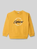 Swetry dla chłopców - Bluza z wpuszczanymi kieszeniami - miniaturka - grafika 1