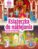 Literatura popularno naukowa dla młodzieży - Książeczka do naklejania - miniaturka - grafika 1