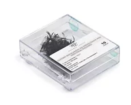 Sztuczne rzęsy i akcesoria - Wonder Lashes Rzęsy 10w1 C, 0,07, 11mm - miniaturka - grafika 1