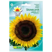 Nasiona i cebule - SŁONECZNIK JADALNY PASKOWY Toraf 10g - miniaturka - grafika 1