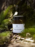 Świece - Leśna wycieczka Świeca sojowa 180 ml - miniaturka - grafika 1