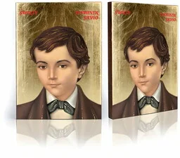 Ikona religijna Święty Dominik Savio - Ikony i obrazy sakralne - miniaturka - grafika 1