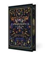 Literatura obyczajowa - Księgi zapomnianych żyć - miniaturka - grafika 1