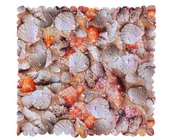 Wanienki dla dzieci - MATA ANTYPOŚLIZGOWA DO WANNY PRYSZNICA BRODZIKA 52X53CM MUSZL - miniaturka - grafika 1