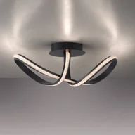 Lampy sufitowe - Paul Neuhaus Lampa sufitowa LED Brilla, ściemniana - miniaturka - grafika 1