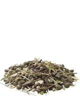 Karma dla gryzoni - Versele-Laga Degu Nature pokarm dla koszatniczki 700g MS_16091 - miniaturka - grafika 1