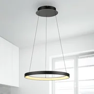 Lampy sufitowe - Paul Neuhaus Lampa wisząca LED Hoop, czarna, Ø 57 cm, ściemniana - miniaturka - grafika 1