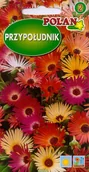 Nasiona i cebule - Przypołudnik mieszany 0.5 g POLAN - miniaturka - grafika 1