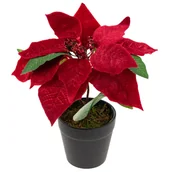 Sztuczne kwiaty - GWIAZDA BETLEJEMSKA SZTUCZNA WELUROWA W DONICZCE POINSECJA REALISTYCZNA - miniaturka - grafika 1