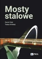 Książki medyczne - Mosty stalowe - miniaturka - grafika 1