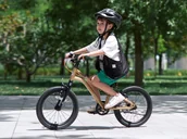 Rowery - Royalbaby RoyalBaby Lekki i Doskonały Rower dla Dzieci Gold Kable-Belt 16" RB16-45 - miniaturka - grafika 1