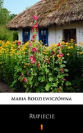 E-booki - literatura polska - Rupiecie - miniaturka - grafika 1