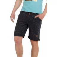 Spodnie sportowe męskie - Spodenki dresowe Sunny Sweatshort - szary - miniaturka - grafika 1