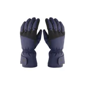 Rękawiczki - Rękawice narciarskie sportowe 4F Thinsulate męskie AFGLM095-31S - miniaturka - grafika 1