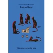 Powieści - Ciemno prawie noc wyd.4 Joanna Bator - miniaturka - grafika 1