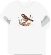 Koszulki i topy damskie - Koszulka damska biała z motywem brązowego wróbla na tle pola S - miniaturka - grafika 1