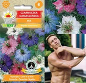 Nasiona i cebule - CZARNUSZKA DAMASCEŃSKA MIX KOLORÓW NASIONA - miniaturka - grafika 1
