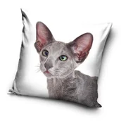 Poszewki na poduszki - Carbotex Poszewka Kot PNL191021 CAT 40x40 cm 12810 - miniaturka - grafika 1