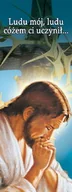 Ikony i obrazy sakralne - Baner na Wielki Post "Ludu mój, ludu cóżem.." 75x200cm - miniaturka - grafika 1