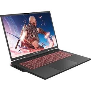 DREAMMACHINES RG4070-17PL31 17" 240Hz i9-14900HX 32GB RAM 1TB SSD GeForce RTX4070 - Laptopy - miniaturka - grafika 1