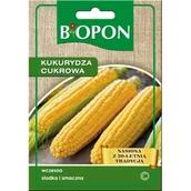 Nasiona i cebule - Nasiona kukurydza cukrowa 20 g BIOPON - miniaturka - grafika 1