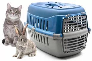 Transporter Dla Psa Kota Królika Klatka Kojec Box - Transportery dla kotów - miniaturka - grafika 1