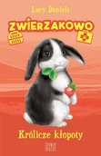Literatura popularno naukowa dla młodzieży - Zwierzakowo Królicze kłopoty - miniaturka - grafika 1