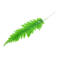 Sztuczne kwiaty - Liść paproci 40 cm pojedynczy zielony - miniaturka - grafika 1