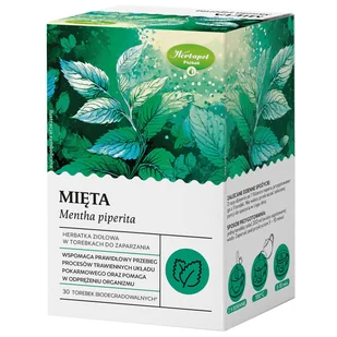 Herbapol Mięta, herbatka ziołowa, 30 saszetek biodegradowalnych - Herbata - miniaturka - grafika 1